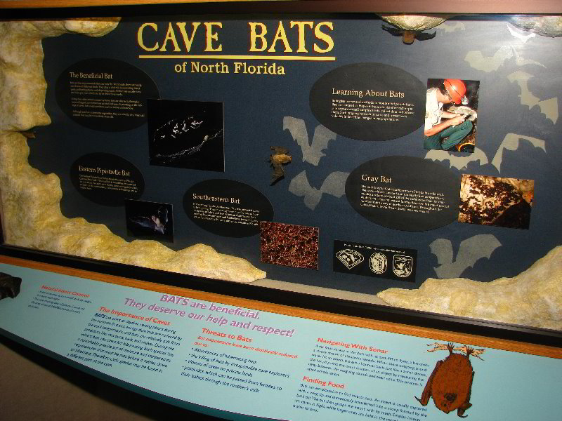 Florida-Caverns-State-Park-Marianna-FL-021