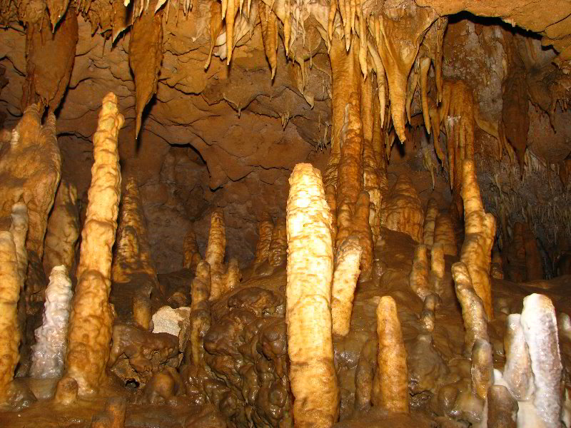 Florida-Caverns-State-Park-Marianna-FL-044