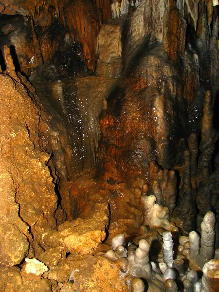 Florida-Caverns-State-Park-Marianna-FL-080