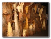 Florida-Caverns-State-Park-Marianna-FL-013