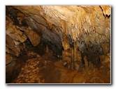 Florida-Caverns-State-Park-Marianna-FL-136