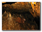 Florida-Caverns-State-Park-Marianna-FL-137