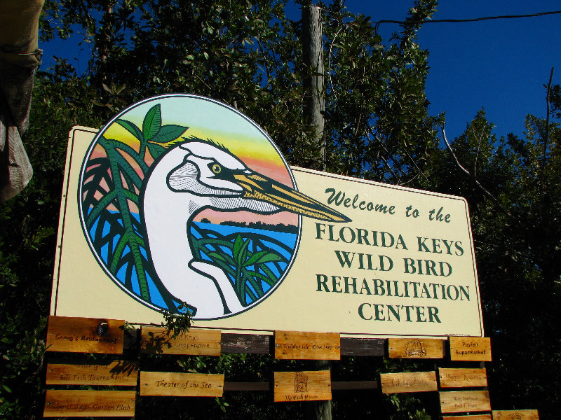 Florida-Keys-Wild-Bird-Center-Tavernier-FL-003