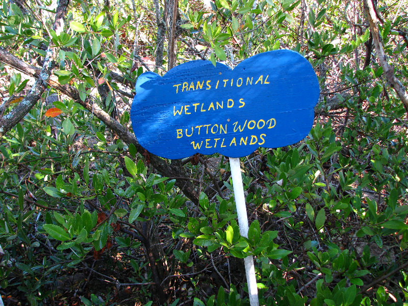 Florida-Keys-Wild-Bird-Center-Tavernier-FL-023