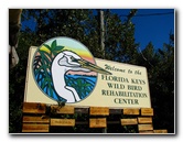 Florida-Keys-Wild-Bird-Center-Tavernier-FL-003