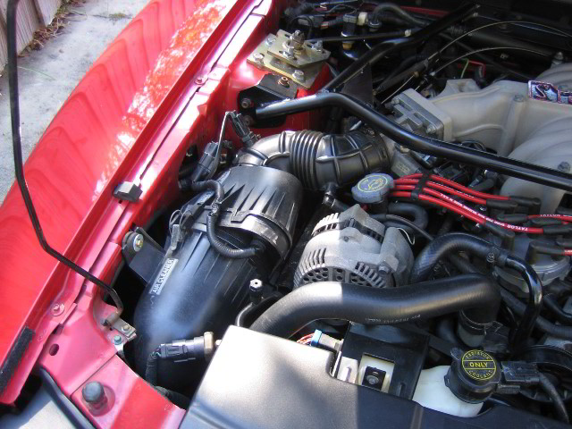 1994-Ford-Mustang-Cobra-053