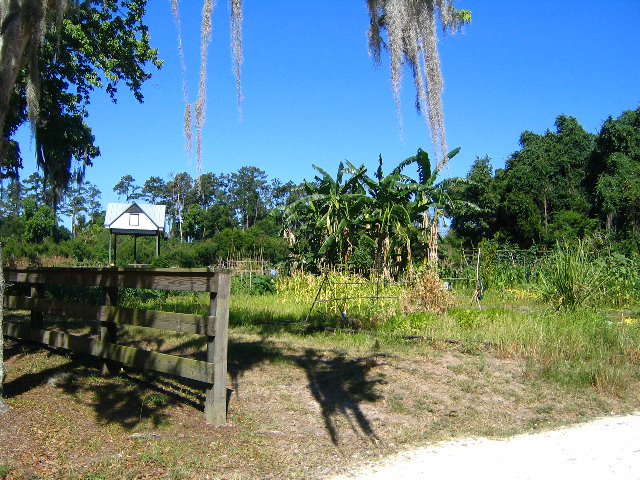 Gainesville-Student-Agricultural-Gardens-04