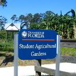 University of Florida Student Agricultural Gardens Pictures