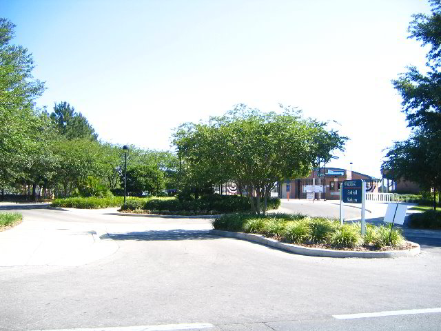 University-of-Florida-Gainesville-07