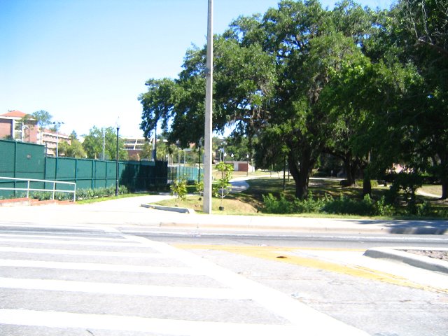 University-of-Florida-Gainesville-37