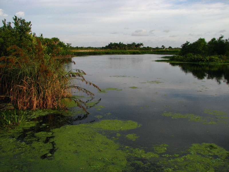 Green-Cay-Wetlands-Boynton-Beach-FL-032