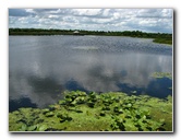Green-Cay-Wetlands-Boynton-Beach-FL-100