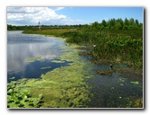 Green-Cay-Wetlands-Boynton-Beach-FL-101