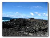 Green-Sand-Beach-South-Point-Big-Island-Hawaii-023