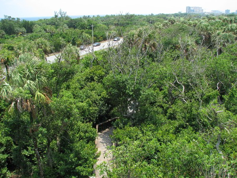 Gumbo-Limbo-Nature-Center-Boca-Raton-FL-008