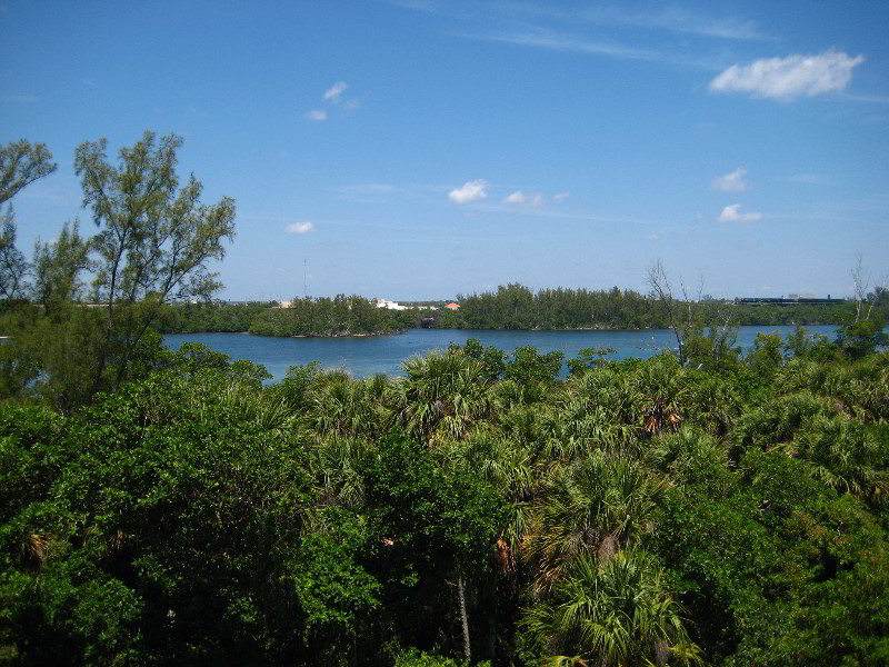 Gumbo-Limbo-Nature-Center-Boca-Raton-FL-038