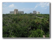 Gumbo-Limbo-Nature-Center-Boca-Raton-FL-012