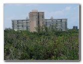 Gumbo-Limbo-Nature-Center-Boca-Raton-FL-013