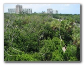 Gumbo-Limbo-Nature-Center-Boca-Raton-FL-015