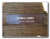 Gumbo-Limbo-Nature-Center-Boca-Raton-FL-031