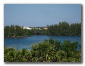 Gumbo-Limbo-Nature-Center-Boca-Raton-FL-039