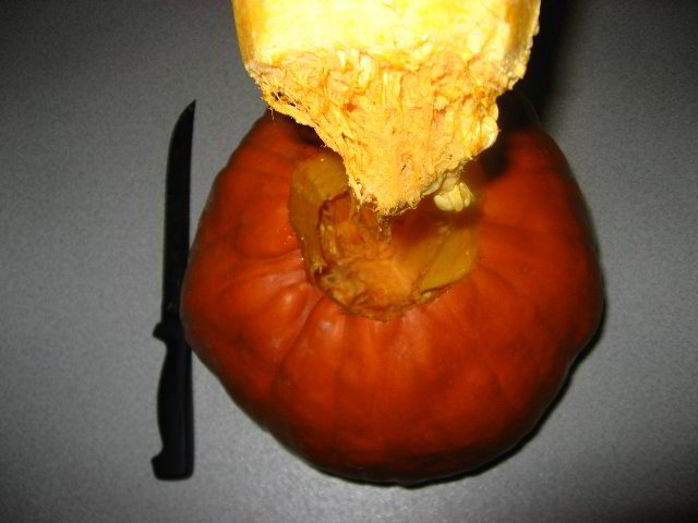 Halloween-Pumpkin-Carving-06-006
