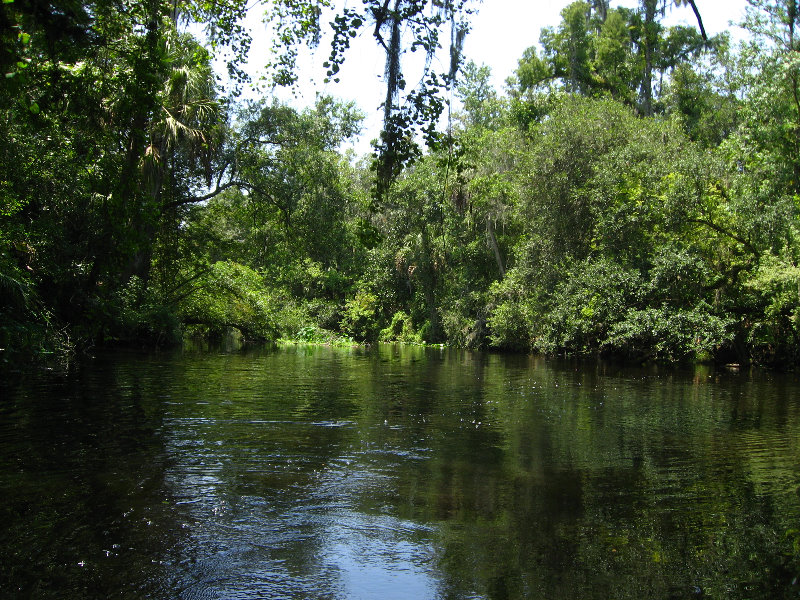 Hillsborough-River-State-Park-Thonotosassa-FL-036