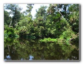 Hillsborough-River-State-Park-Thonotosassa-FL-021