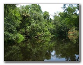Hillsborough-River-State-Park-Thonotosassa-FL-033