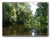Hillsborough-River-State-Park-Thonotosassa-FL-034