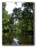 Hillsborough-River-State-Park-Thonotosassa-FL-037