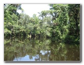 Hillsborough-River-State-Park-Thonotosassa-FL-041