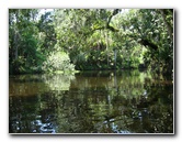 Hillsborough-River-State-Park-Thonotosassa-FL-043