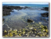 Holoholokai-Beach-Park-Kamuela-Kohala-Coast-Big-Island-Hawaii-016