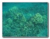 Hookena-Beach-Park-Snorkeling-Big-Island-Hawaii-023