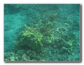 Hookena-Beach-Park-Snorkeling-Big-Island-Hawaii-026