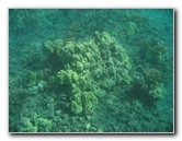 Hookena-Beach-Park-Snorkeling-Big-Island-Hawaii-035