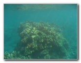 Hookena-Beach-Park-Snorkeling-Big-Island-Hawaii-043