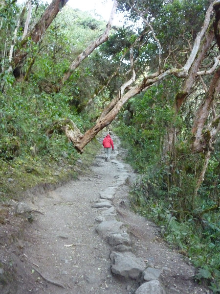 Inca-Hiking-Trail-To-Machu-Picchu-Peru-083