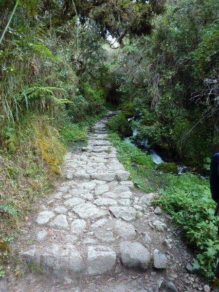 Inca-Hiking-Trail-To-Machu-Picchu-Peru-086