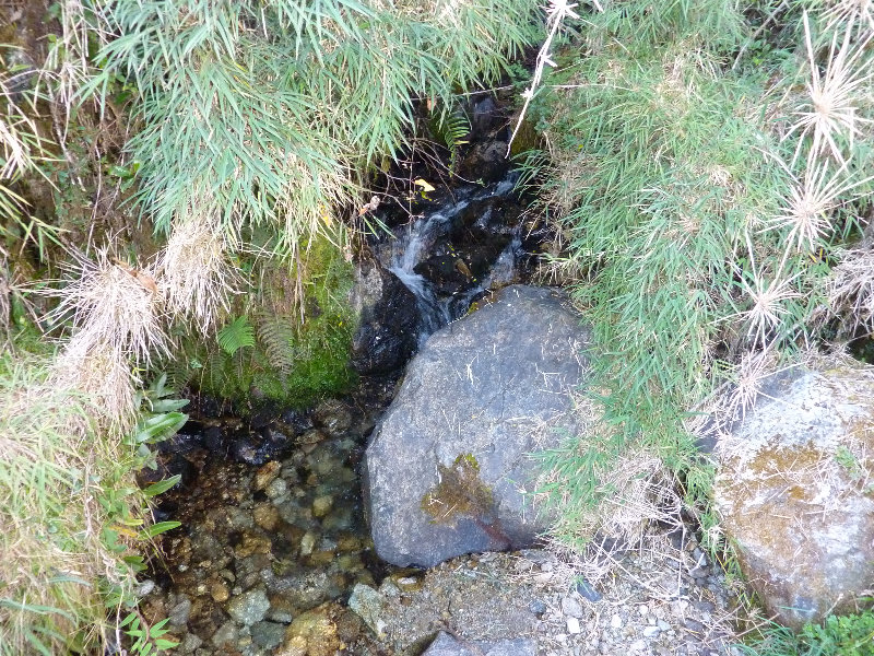 Inca-Hiking-Trail-To-Machu-Picchu-Peru-232