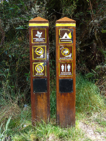 Inca-Hiking-Trail-To-Machu-Picchu-Peru-246