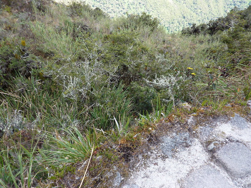 Inca-Hiking-Trail-To-Machu-Picchu-Peru-251