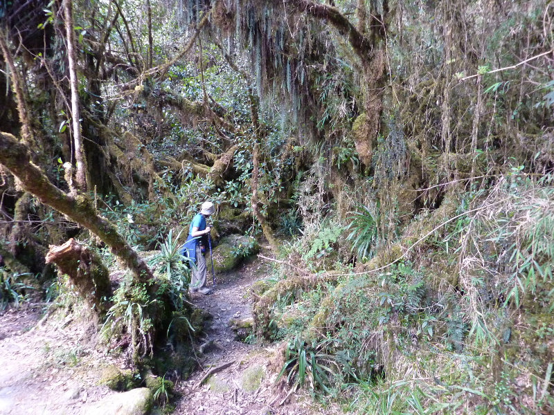 Inca-Hiking-Trail-To-Machu-Picchu-Peru-267