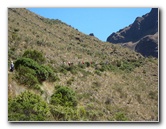 Inca-Hiking-Trail-To-Machu-Picchu-Peru-118