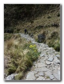 Inca-Hiking-Trail-To-Machu-Picchu-Peru-141