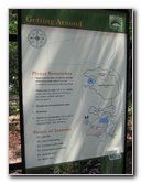 Jacksonville-Arboretum-and-Gardens-Jacksonville-FL-006