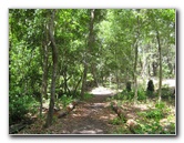 Jacksonville-Arboretum-and-Gardens-Jacksonville-FL-033