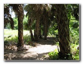 Jacksonville-Arboretum-and-Gardens-Jacksonville-FL-044