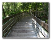 Jay-B-Starkey-Wilderness-Park-Pasco-County-FL-014